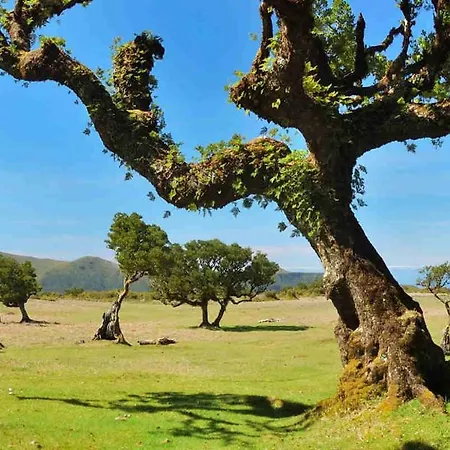 Por Do Sol Ii Апартаменты Порту-Мониш