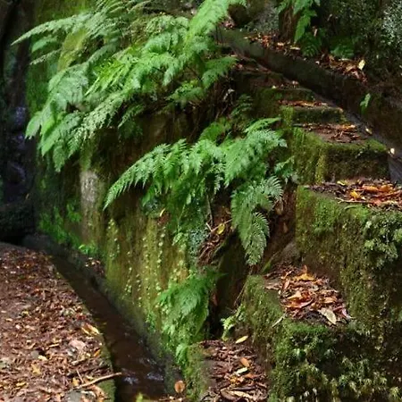 Por Do Sol Ii Апартаменты *