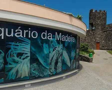 Por Do Sol Ii Διαμέρισμα Porto Moniz