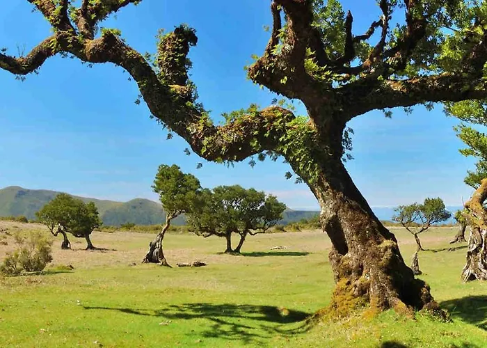 Pôr Do Sol Ii Apartamento Porto Moniz