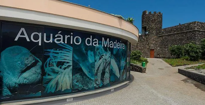 Por Do Sol Ii 公寓 莫尼兹港